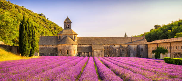 provence_583570494