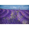 alpes_de_haute-provence