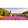 provence_583570494